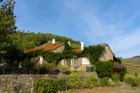 Villa Roxo, Vakantiehuis, Porto, people: 8