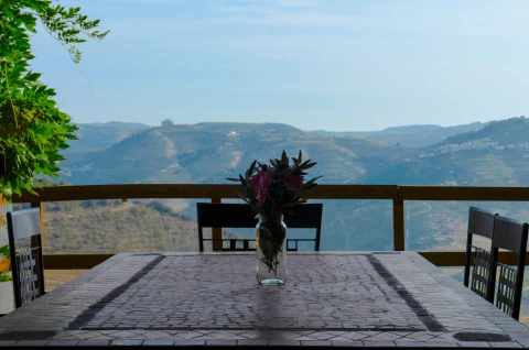 Villa Roxo, Vakantiehuis, Porto, people: 8