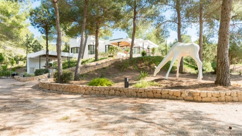 Villa Salinas, Vakantiehuis, Ibiza, people: 10