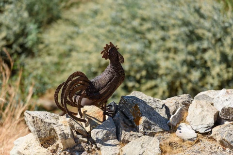 Villa Salvina, Vakantiehuis, Paros, people: 4