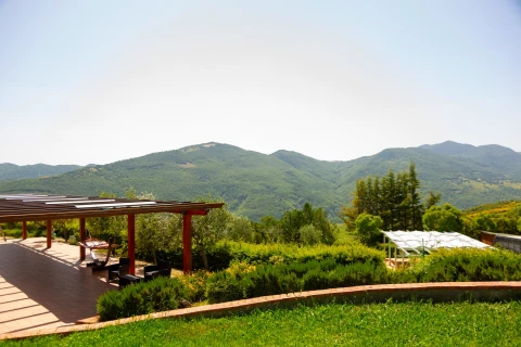 Villa San Leo, Vakantiehuis, Basilicata, people: 20