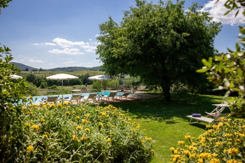 Vakantiehuis in Toscane voor 8 personen - Villa Santa Barbara