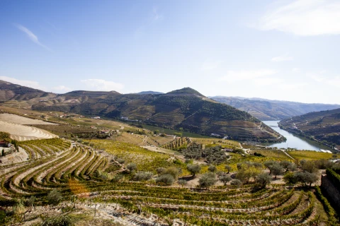 Villa Vinho, Vakantiehuis, people: 8