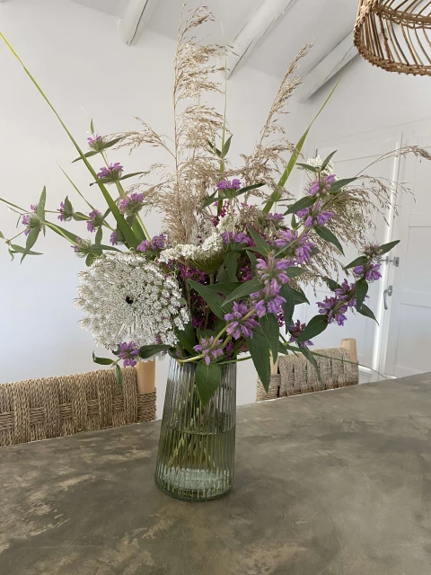  Vista Las Colinas, Vakantiehuis, Costa Del Sol, people: 6