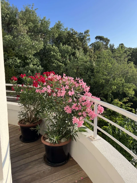 Vue mer Agay, Appartement, Côte d'azur, people: 4