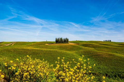 pexels-duc-tinh-ngo-2147637857-29844248