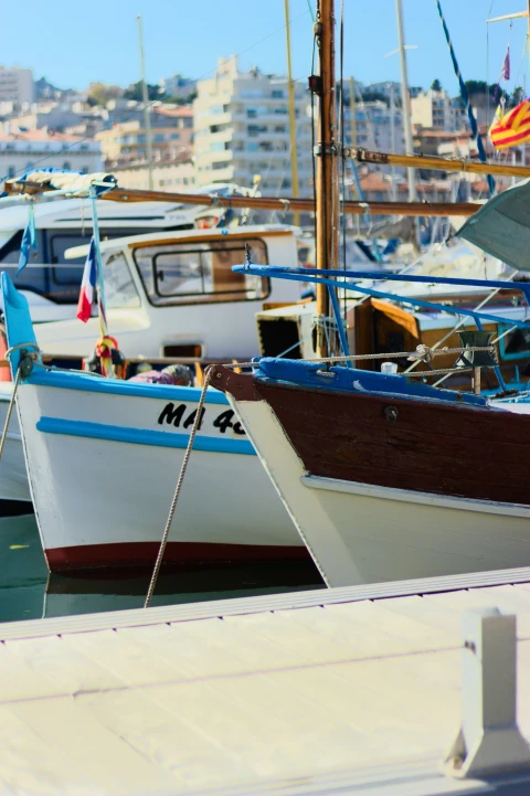 pexels-kifkif13-photos-3614682-5625140