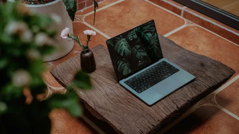 pexels-nguyendesigner-34332317