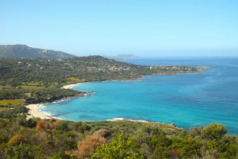 pexels-tlanexion-19758096