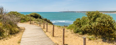 vendee